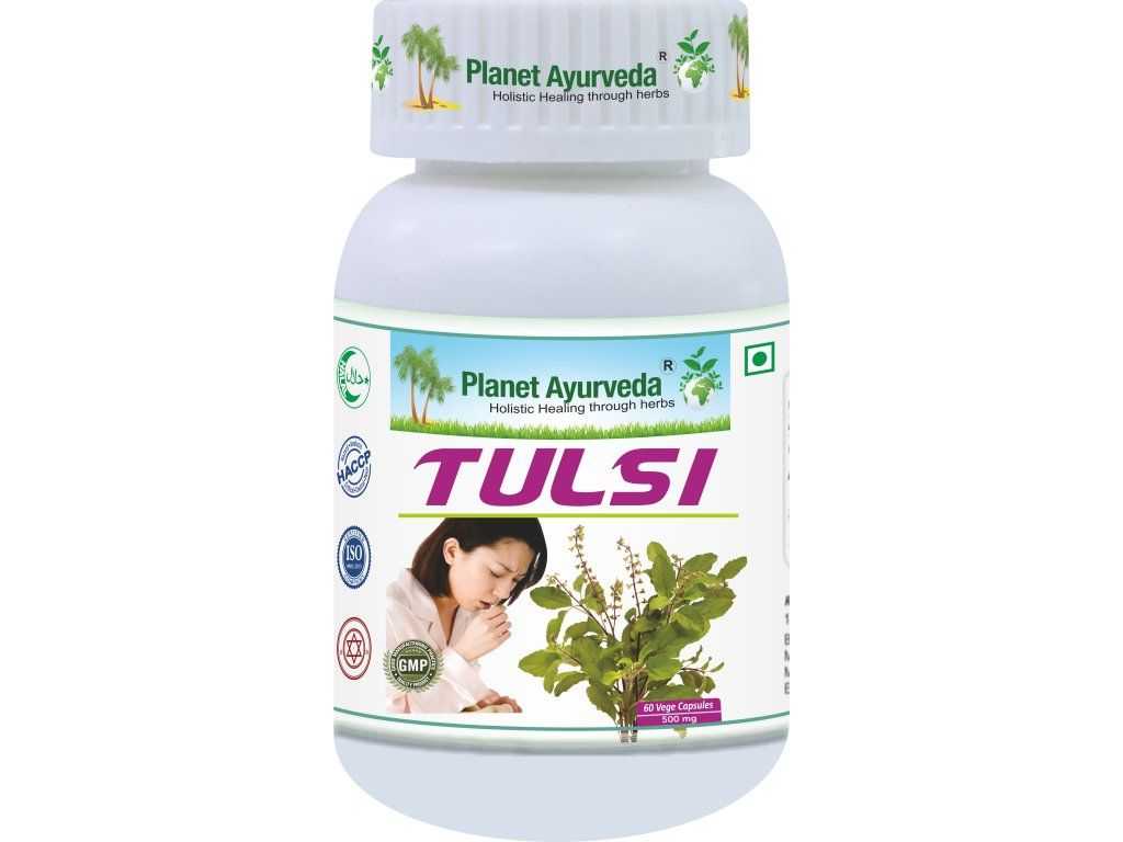 Tulsi Organic – svētais baziliks mieram, elpošanas komfortam un Vata-Kapha līdzsvaram