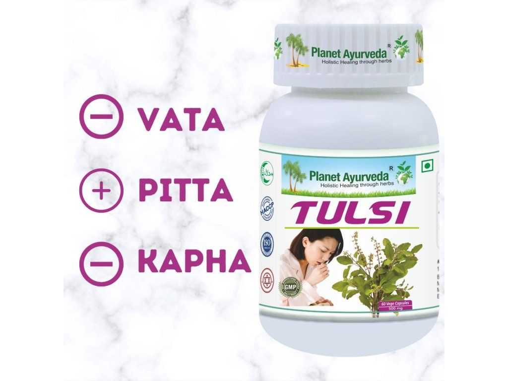 Tulsi Organic – svētais baziliks mieram, elpošanas komfortam un Vata-Kapha līdzsvaram - Image 2