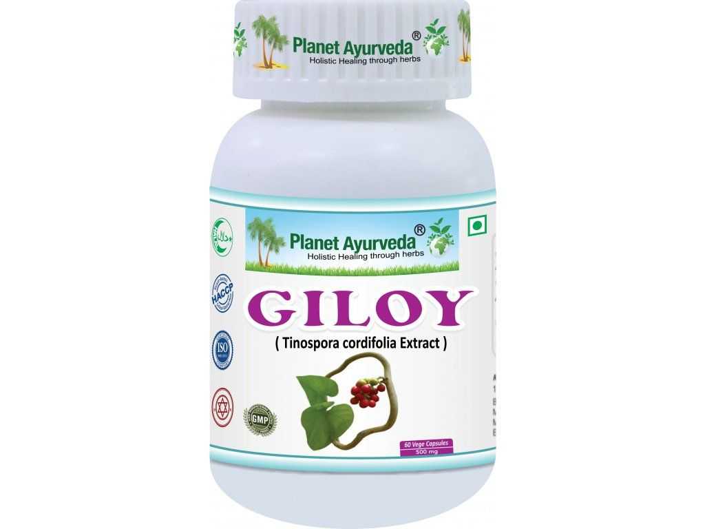 Giloy Organic (Guduchi) – for immunity, seasonal stress and urinary tract comfort