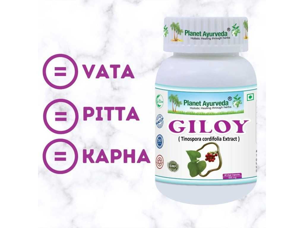 Giloy Organic (Guduchi) – for immunity, seasonal stress and urinary tract comfort - Image 2
