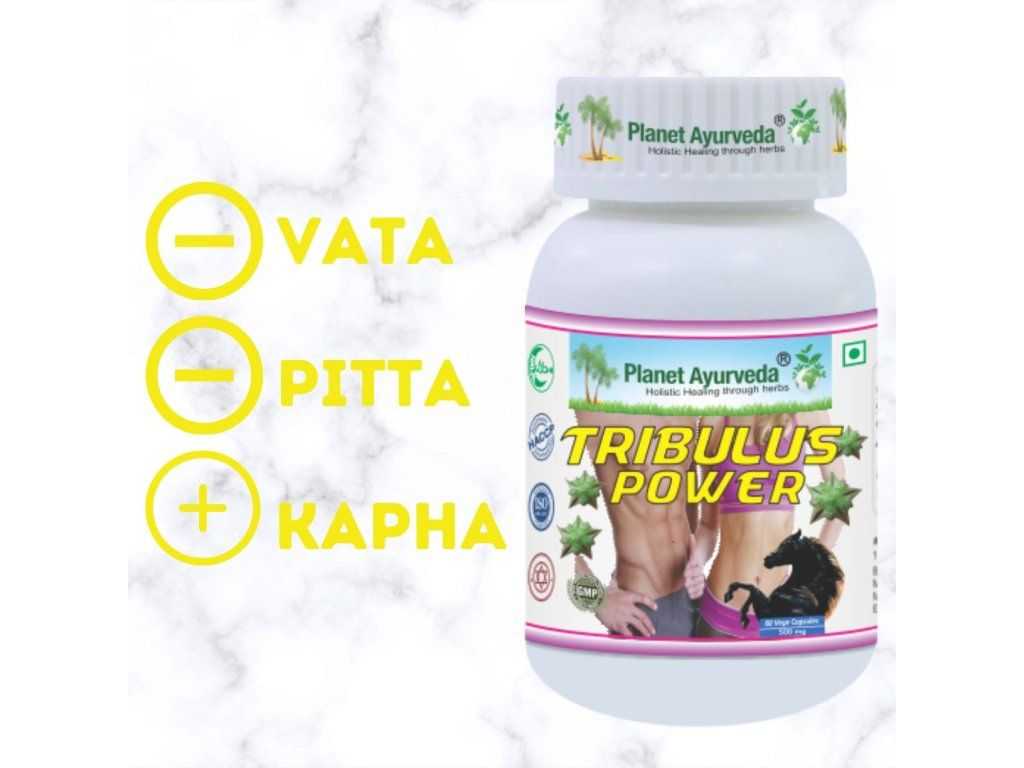 Tribulus Power (Gokshura) – energia, lihastoonuse ja seksuaalse vitaalsuse toetuseks - Pilt 2