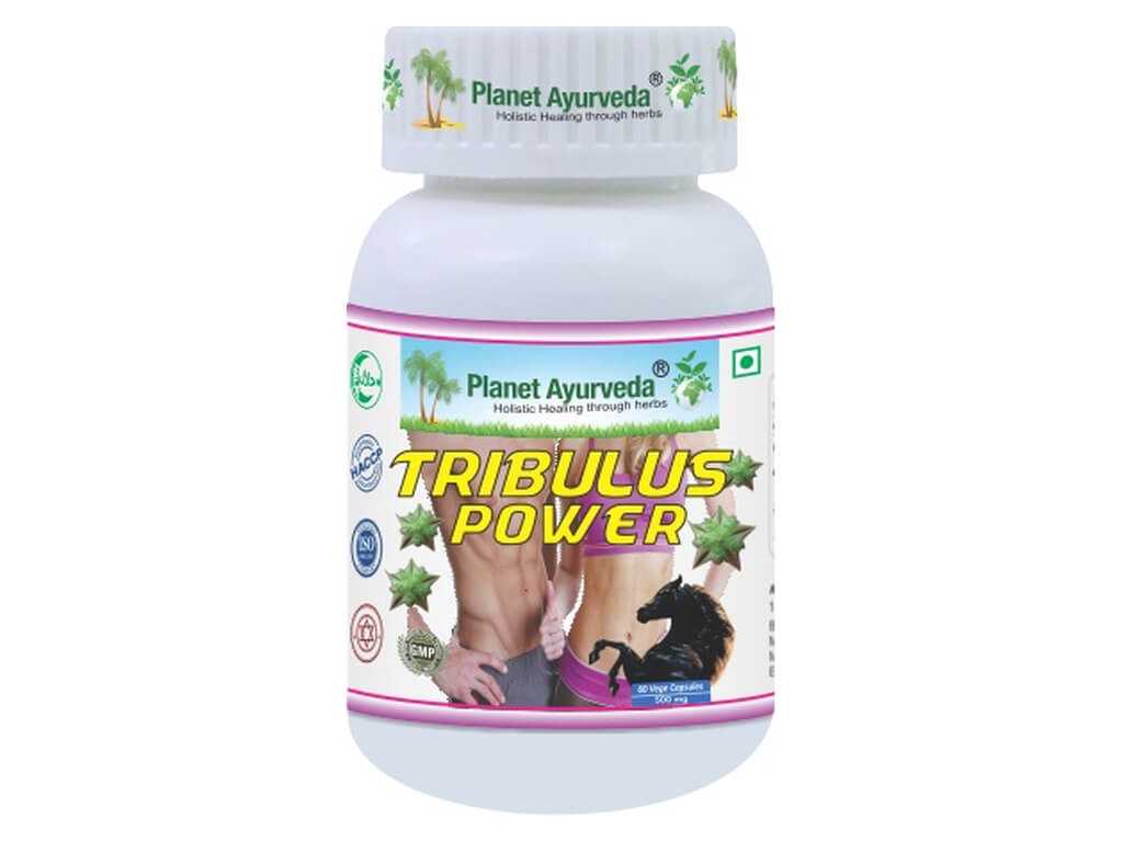 Tribulus Power (Gokshura) – energia, lihastoonuse ja seksuaalse vitaalsuse toetuseks