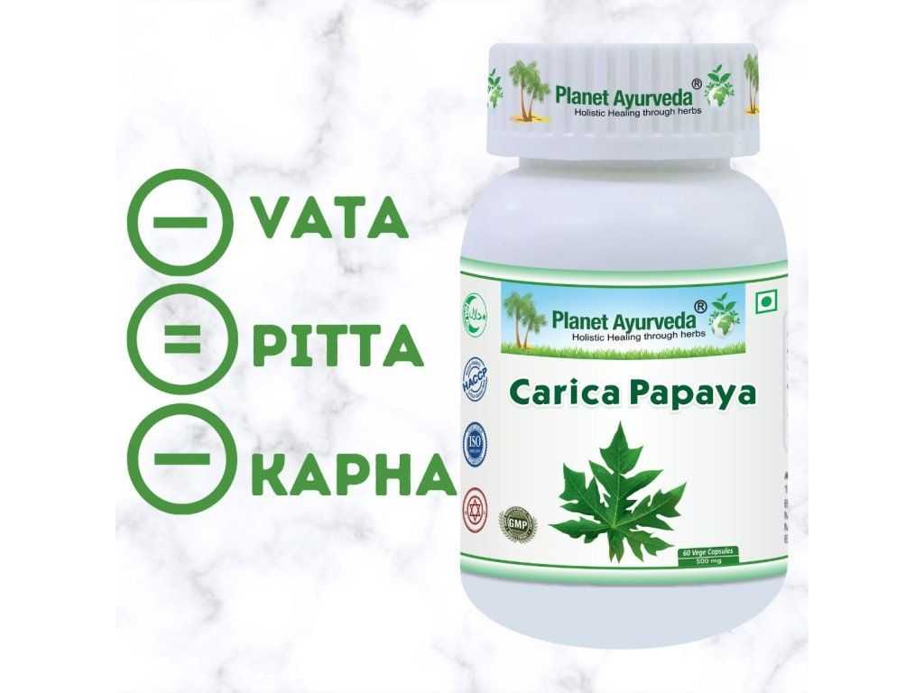 Carica Papaya Organic – экстракт листьев папайи для комфорта после еды и баланса Vata-Kapha — изображение 2