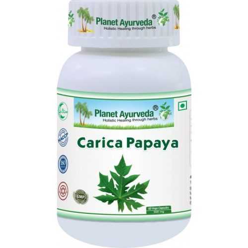 Carica Papaya Organic – papaijas lapu ekstrakts ēdienreižu komfortam un Vata-Kapha līdzsvaram