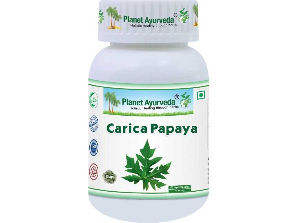 Carica Papaya Organic – экстракт листьев папайи для комфорта после еды и баланса Vata-Kapha