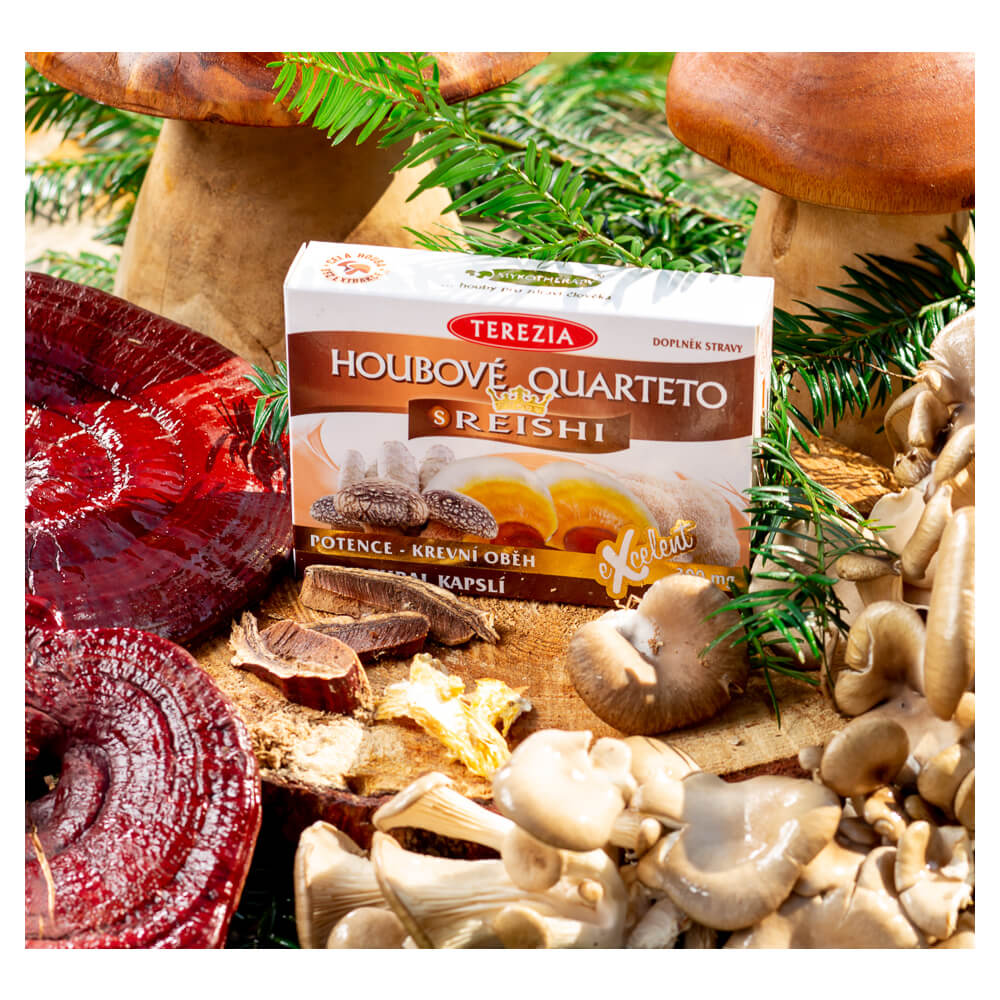 Mushroom Quartet with Reishi, Terezia, 60 кап. — изображение 3