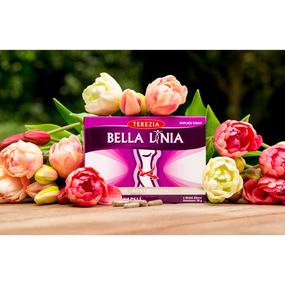 Bella Linia Terezia — svara kontrolei - Image 2