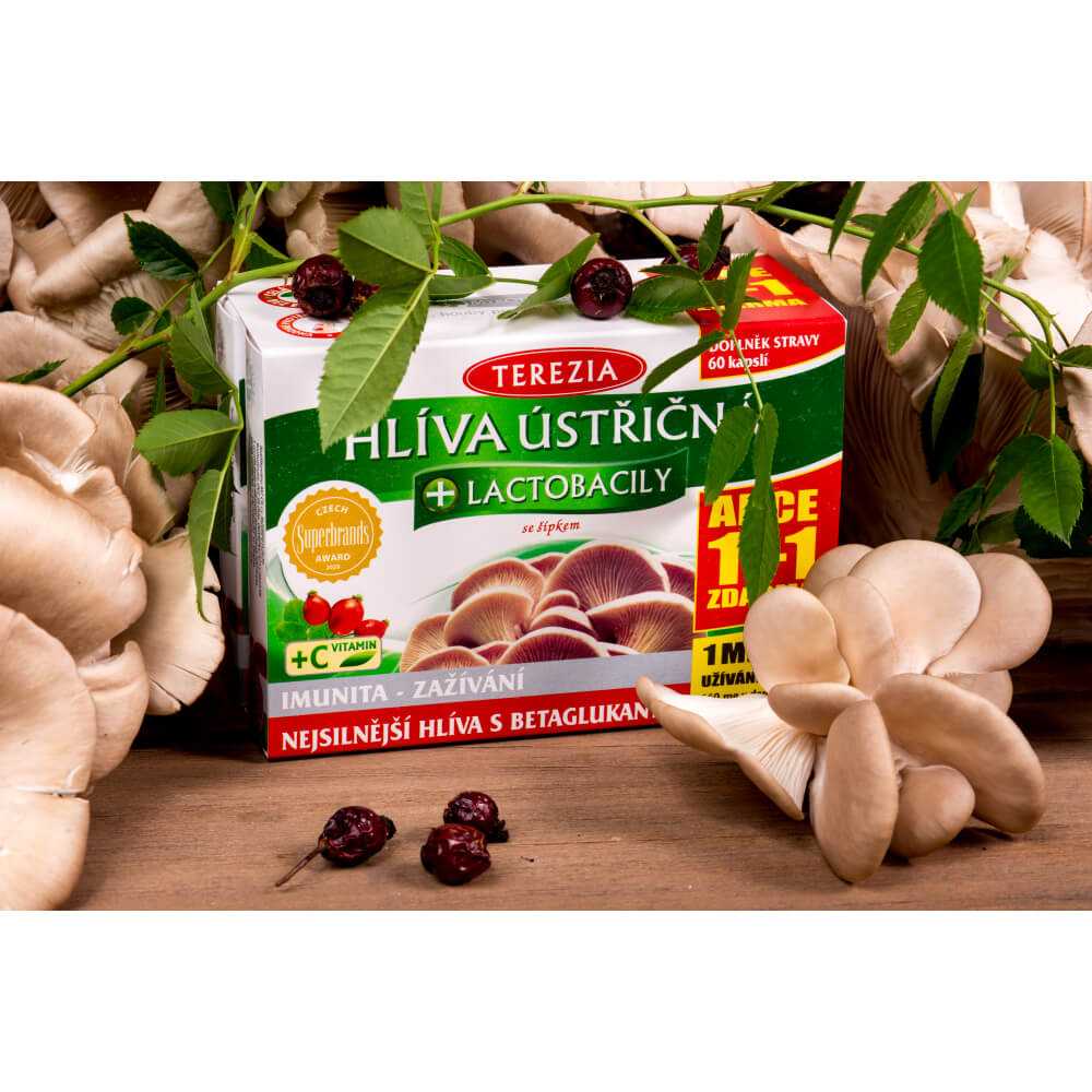 Oyster Mushroom + Lactobacilli, Terezia, 60 Capsules - Image 2