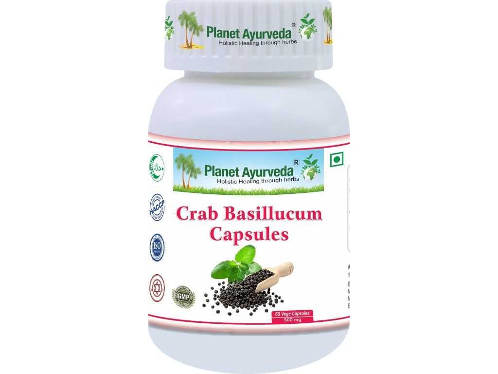 Crab Basillucum – svētais baziliks stresam, miegam un iekšējai noturībai